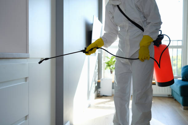 Best Commercial Mold Removal  in Frankfort Square, IL