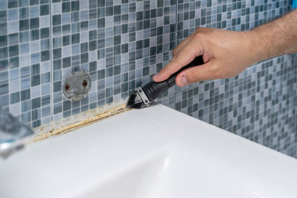 Best Attic Mold Removal  in Frankfort Square, IL